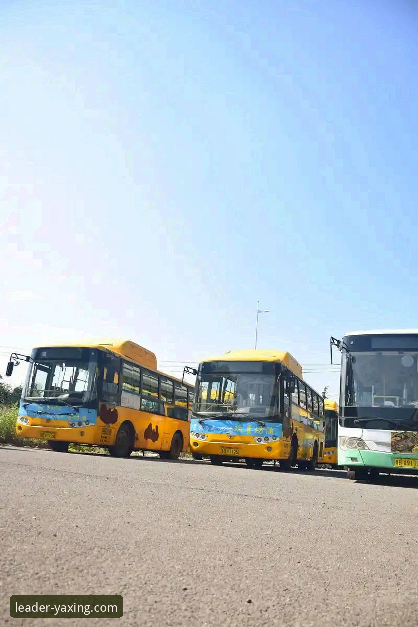 亚星官方平台深度解析：亚星客车旅游客车最新版如何重塑运营效率